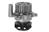 Auto Water Pump