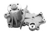 Auto Water Pump