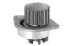 Automotive Water Pump