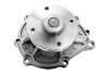 Automotive Water Pump