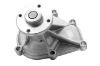 Automotive Water Pump