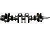 Crankshaft For Mitsubishi 6D31