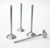 Engine Valves