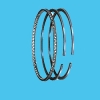 Piston Ring