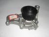 Auto Water Pump