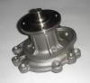 Auto Water Pump