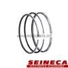 Piston Ring