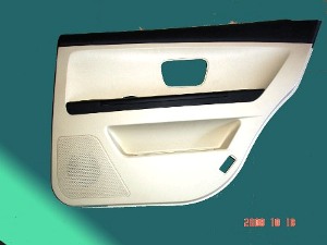 Door Panel Mould