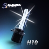 HID Xenon Kit Lamp H10