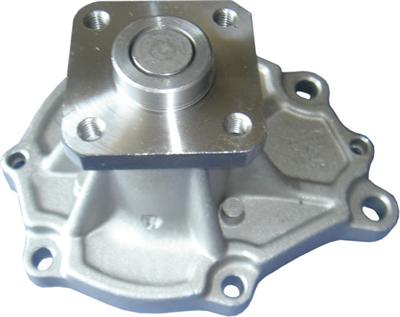 Water Pump 21010-17C25