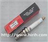 Industrial Gasoline Engine Spark Plug