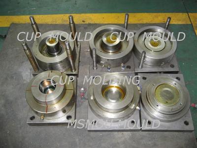 Thin Wall Mould