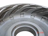 Agricultural Tyre Mold