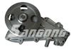RSK-RE122 Water Pump 7701464054