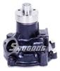 RSK-FI125 Water Pump 4813370