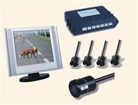 Rearview Parking Sensor With Display