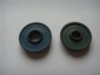 Oil Seal