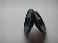 Oil Seal Passed Iso9001, Qs9000 and Ts16949