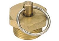 Drain Valve