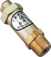 Safety Valve