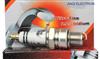 Iridium Spark Plug