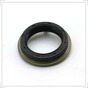 Oil Seal