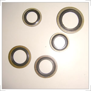 Oil Seal