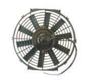 Electric Fan