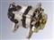 SHB-001 Alternator