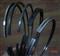 Perkins Piston Ring