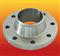 WN Stainless Flange