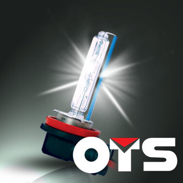 Auto HID Xenon Conversion Kit  H11