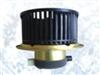 Blower Motor Of  Liuzhou Motor