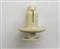 Plastic Rivet