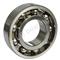 Ball Bearing (6000 Series)