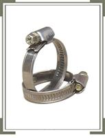 Worm Drive Hose Clamp