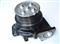 Water Pump 4975221
