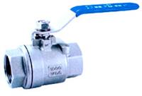 2PC S. S. Threaded End Ball Valve