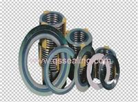 Spiral Winding Gasket