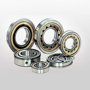 Cylindrical Roller Bearing