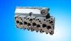 Cummins 4BT3.9 Cylinder Head 3920005