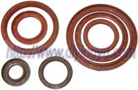 TC/SC Oil Seal