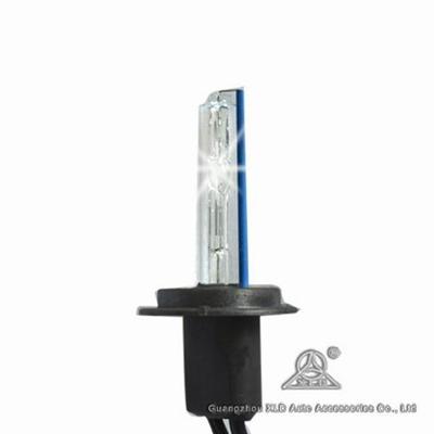 HID Xenon Bulbs