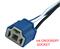 H4 Socket China Connector