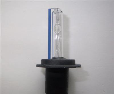 H7 Xenon Bulb
