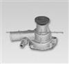 GWT-02A Water Pump