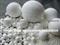 Inert Alumina Balls