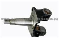 Steering knuckle BJ1041