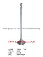 Engine Valve  FH12 48225 VOLVO