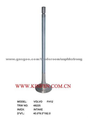 Engine Valve  FH12 48225 VOLVO